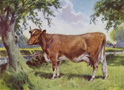 Kuvitus My Farm (väri litho) tekijältä Reginald Mills