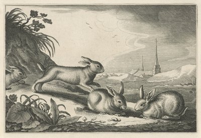 Dyynimaisema kanien kanssa Diversa Animalia Quadrupedia (sarjan nimi) tekijältä Reinier van Persijn