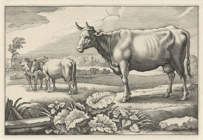 Laitumella lehmiä Diversa Animalia Quadrupedia (sarjan nimi) tekijältä Reinier van Persijn