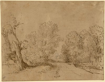 Metsäinen tie tekijältä Rembrandt Harmensz. van Rijn