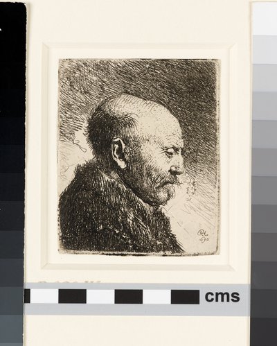 Kaljupäinen mies profiilissa oikealla: Rembrandtin isä? tekijältä Rembrandt van Rijn