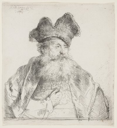 Vanha mies, jolla on jaettu turkislakka tekijältä Rembrandt van Rijn