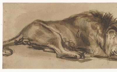 Tutkimus unessa olevasta leijonasta tekijältä Rembrandt van Rijn (copy after)