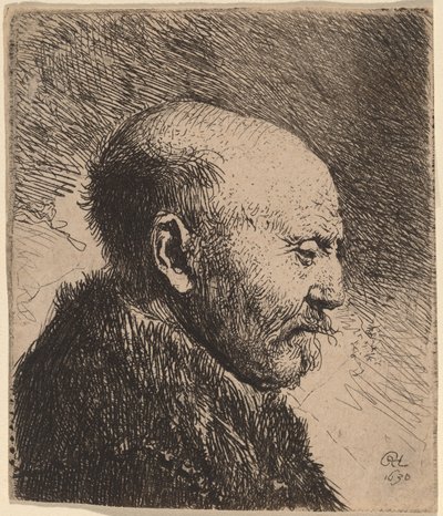 Kalju mies profiilissa (taiteilijan isä?) tekijältä Rembrandt van Rijn