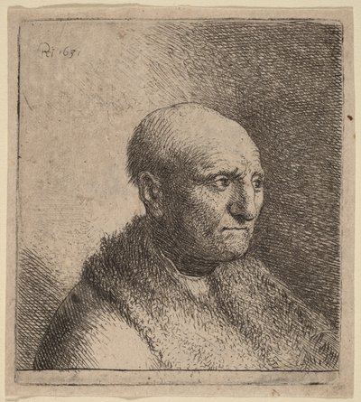 Kalju mies turkistakissa tekijältä Rembrandt van Rijn