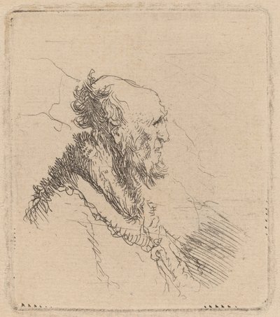 Kalju vanha mies, jolla on lyhyt parta profiilissa tekijältä Rembrandt van Rijn