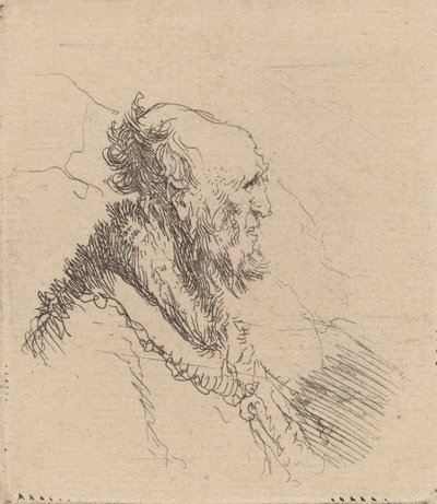 Kalju vanha mies, jolla on lyhyt parta profiilissa, c. 1635. tekijältä Rembrandt van Rijn