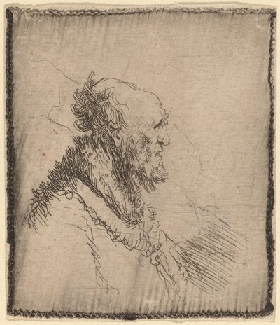Kalju vanha mies, jolla on lyhyt parta profiilissa, c. 1635. tekijältä Rembrandt van Rijn