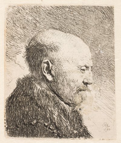 Kalju mies profiilissa (Rembrandtin isä?) tekijältä Rembrandt van Rijn