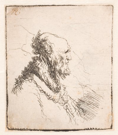 Kalju vanha mies, jolla on lyhyt parta, profiilissa oikealla tekijältä Rembrandt van Rijn