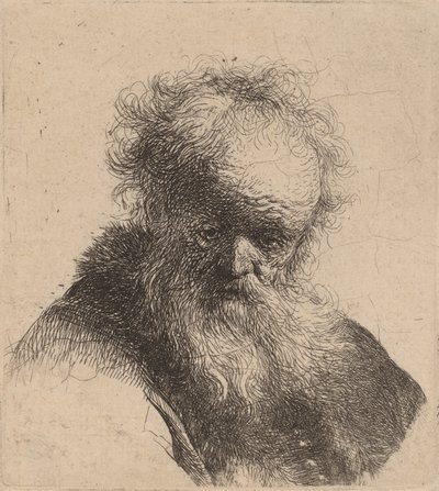 Vanhan miehen rintakuva, jossa parta ja valkoinen hiha, n. 1630. tekijältä Rembrandt van Rijn