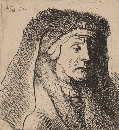 Vanhan naisen rintakuva karvaisessa viitassa ja raskaassa päähineessä, 1631. tekijältä Rembrandt van Rijn