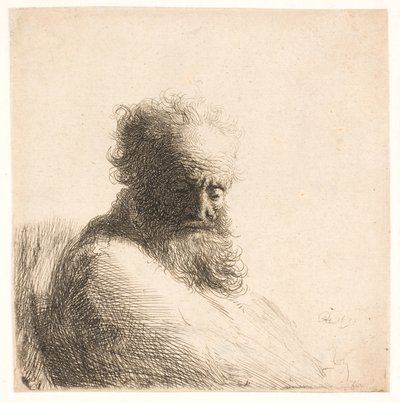 Vanha parrakas mies. Rintakuva tekijältä Rembrandt van Rijn