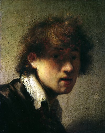 Nuoren miehen pää tai omakuva, 1629 tekijältä Rembrandt van Rijn