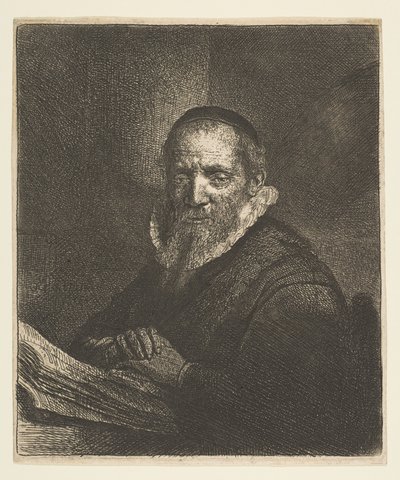 Jan Cornelius Sylvius, 1633 tekijältä Rembrandt van Rijn