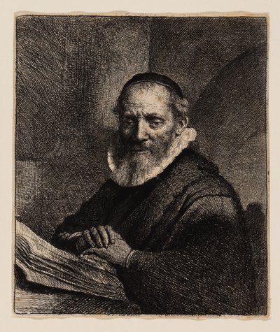 Jan Cornelius Sylvius tekijältä Rembrandt van Rijn