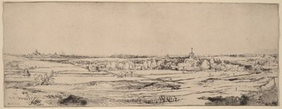 Maisema, josta avautuu näkymä Haarlemiin (Kultapunnitsijan pelto) tekijältä Rembrandt van Rijn