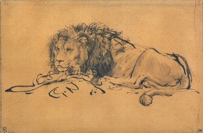 Leijona lepää, käännetty vasemmalle, c1650 tekijältä Rembrandt van Rijn