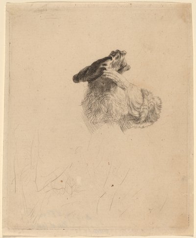 Vanha mies varjostaa silmänsä kädellä tekijältä Rembrandt van Rijn