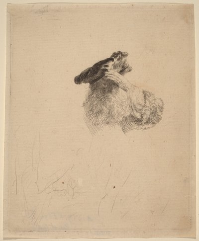Vanha mies, joka suojaa silmiään kädellään tekijältä Rembrandt van Rijn