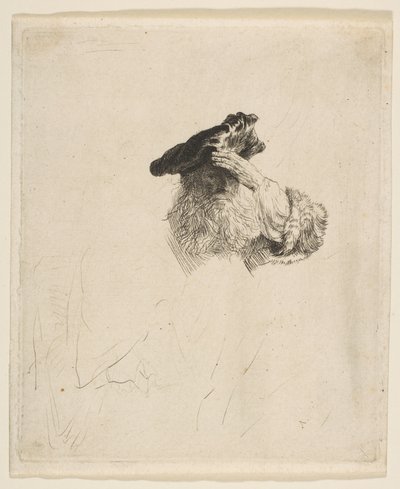 Vanha mies varjostaa silmänsä kädellä, n. 1639. tekijältä Rembrandt van Rijn