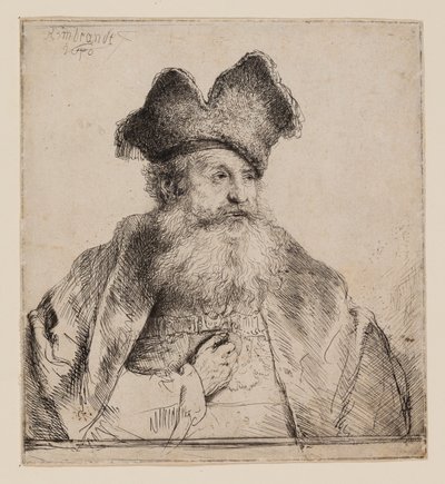Vanha mies, jolla on jaettu turkislakka tekijältä Rembrandt van Rijn