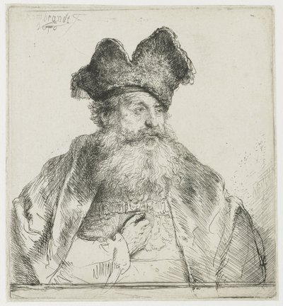 Vanha mies, jolla on jaettu turkislakka tekijältä Rembrandt van Rijn