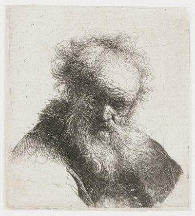 Vanha mies, jolla on pitkä parta ja valkoiset hihat tekijältä Rembrandt van Rijn