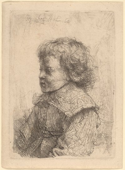 Pojan muotokuva profiilissa tekijältä Rembrandt van Rijn