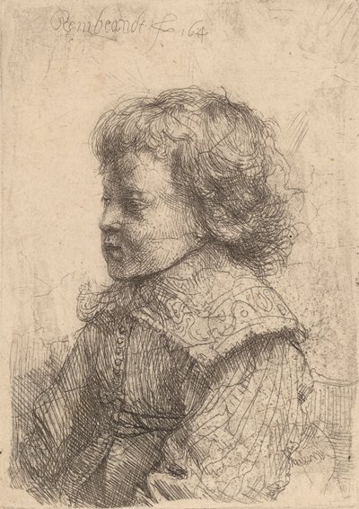 Pojan muotokuva profiilissa, 1641. tekijältä Rembrandt van Rijn