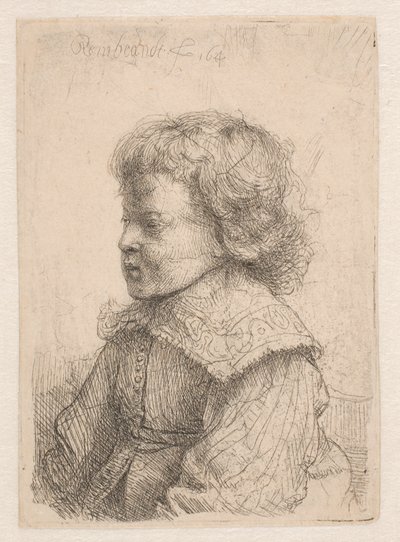 Poikien muotokuva, profiilista tekijältä Rembrandt van Rijn