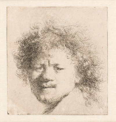 Rembrandt, jolla on pitkät, tuuheat hiukset: vain pää tekijältä Rembrandt van Rijn