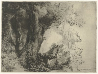 Pyhä Franciscus puun alla rukoilemassa Pyhä Franciscus puun alla rukoilemassa tekijältä Rembrandt van Rijn