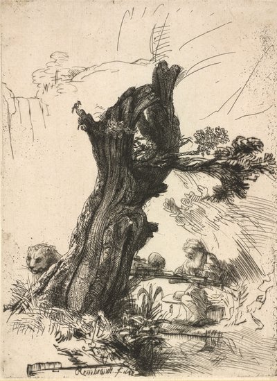 Pyhä Jerome Pollard Willow -pajun vieressä, 1648. tekijältä Rembrandt van Rijn