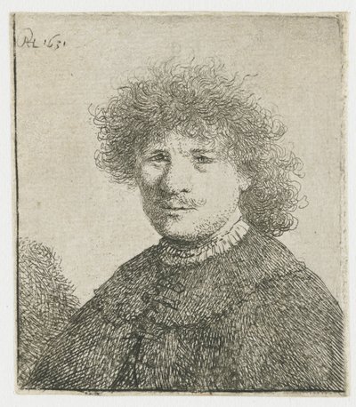 Omakuva viitassa, jossa laskeutuva kaulus: rintakuva tekijältä Rembrandt van Rijn