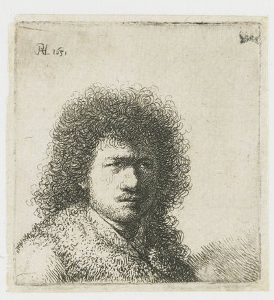 Omakuva tuuheat hiukset: rintakuva tekijältä Rembrandt van Rijn