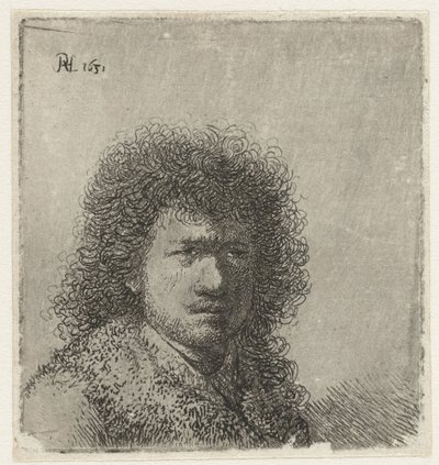 Omakuva tuuheat hiukset: rintakuva tekijältä Rembrandt van Rijn