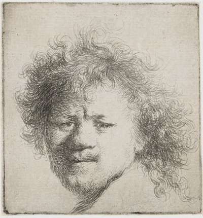 Omakuva pitkät tummat hiukset: vain pää, n. 1631. tekijältä Rembrandt van Rijn