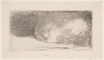  tekijältä Rembrandt van Rijn