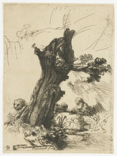 St Jerome pollarin pajun vieressä tekijältä Rembrandt van Rijn