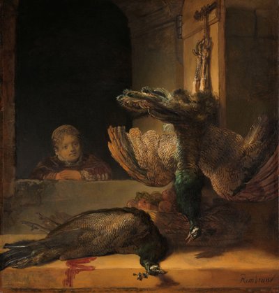 Asetelma riikinkukon kanssa Asetelma kuolleiden riikinkukkojen kanssa tekijältä Rembrandt van Rijn