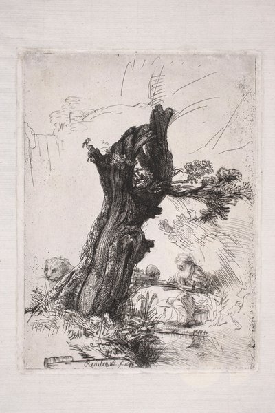 Pyhä Hieronymus kirjoittamassa pajunrungon vieressä tekijältä Rembrandt van Rijn