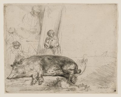 Hog tekijältä Rembrandt van Rijn
