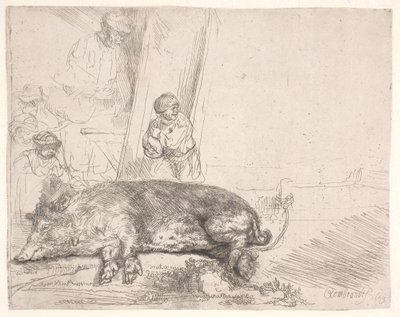 Sika tekijältä Rembrandt van Rijn