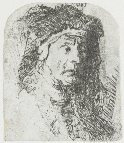 Nainen turkisreunaisessa viitassa Vanhan naisen rintakuva karvaisessa viitassa ja raskaassa päähineessä tekijältä Rembrandt van Rijn