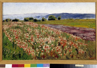Unikkopelto (maalaus) tekijältä Rene Auguste Seyssaud