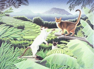 Bali, 2002, Värikynäpiirros paperille tekijältä Rene Boin