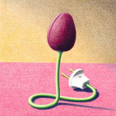 Sähköinen tulppaani tekijältä Rene Boin