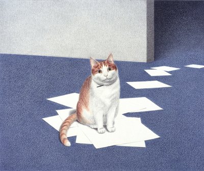 Paperit tekijältä Rene Boin
