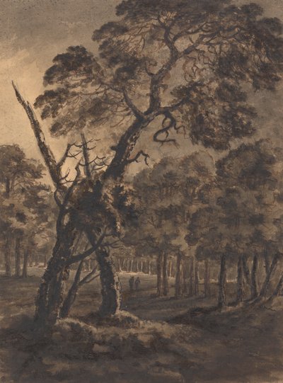 Metsäkohtaus tekijältä Rev. William Gilpin